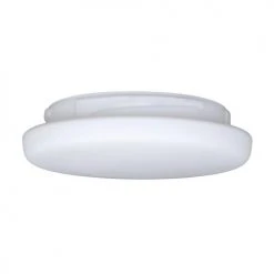Buy ⌛ Patriot Lighting®Frosted White Replacement Glass 👏