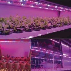 Cheap 🔔 Patriot Lighting® 12' LED Grow Tape Light ⌛ -Patriot Light Store 346 0603 12LEDGrowTapeLight P in use 3copy