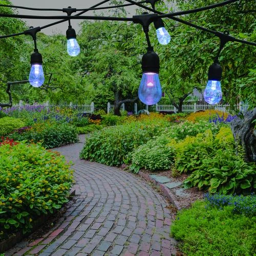 Best deal 😉 Patriot Lighting® 36' Plug-In 18-Light Integrated LED Color-Changing String Light ⭐ 4 Best deal 😉 Patriot Lighting® 36' Plug-In 18-Light Integrated LED Color-Changing String Light ⭐ - Image 2