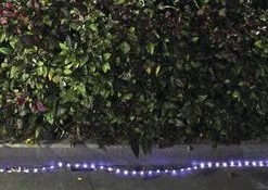 Flash Sale ✔️ Patriot Lighting® Solar Integrated LED Rope Light 🔥 -Patriot Light Store 346 2009 1