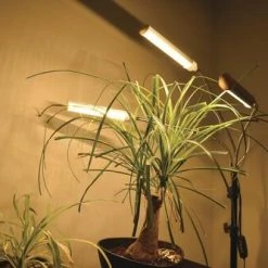 Cheap 👍 Patriot Lighting® Tripod 3 Light LED Grow Light 😍 24 Cheap 👍 Patriot Lighting® Tripod 3 Light LED Grow Light 😍 -Patriot Light Store 347 0900 GT FL 3GL SC4