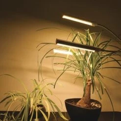 Cheap 👍 Patriot Lighting® Tripod 3 Light LED Grow Light 😍 25 Cheap 👍 Patriot Lighting® Tripod 3 Light LED Grow Light 😍 -Patriot Light Store 347 0900 GT FL 3GL SC5