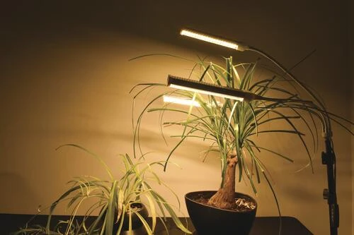 Cheap 👍 Patriot Lighting® Tripod 3 Light LED Grow Light 😍 12 Cheap 👍 Patriot Lighting® Tripod 3 Light LED Grow Light 😍 - Image 10