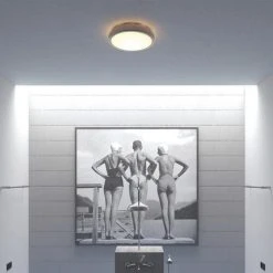 Best reviews of 🥰 Patriot Lighting® Lato Satin Nickel Integrated LED Flush Mount Ceiling Light ✨ -Patriot Light Store 3482124 Alt5