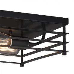 Outlet 👏 Patriot Lighting® Gaven Matte Black 2-Light Flush Mount Ceiling Light - 2 Pack ❤️ 8 Outlet 👏 Patriot Lighting® Gaven Matte Black 2-Light Flush Mount Ceiling Light - 2 Pack ❤️ -Patriot Light Store 3514748 Alt2