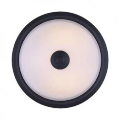 Hot Sale ❤️ Patriot Lighting® Dee Rubbed Antique Bronze 2-Light Flush Mount Ceiling Light 🔔 -Patriot Light Store 3518759 P BTM