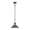 New 🔥 Patriot Lighting® Ashtyn Matte Black & Charcoal Patina 1-Light Mini Pendant 🔥 -Patriot Light Store 3518783 Master