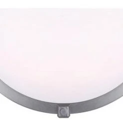 Best Pirce ❤️ Patriot Lighting® Gilda Brushed Nickel LED Indoor Wall Light 🌟