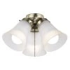 Coupon 🛒 Patriot Lighting® Cluster 3-Light Antique Brass LED Ceiling Fan Light ✔️ -Patriot Light Store 355 3110 P