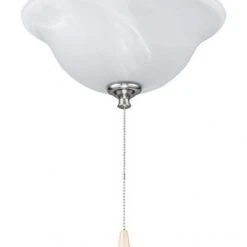 Flash Sale 👏 Patriot Lighting® White Swirled Marble Bowl LED Ceiling Fan Light 🎁
