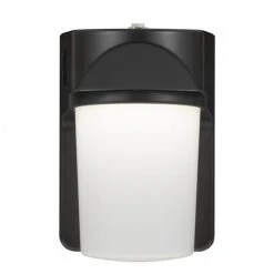 Discount 🎉 Patriot Lighting® Bronze LED Dusk-to-Dawn Outdoor Security Jelly Jar ⭐