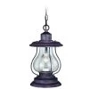 Discount ❤️ Patriot Lighting® Portage Weathered Pantina 8" Outdoor Pendant Light ✨ -Patriot Light Store 356 9930 P SF