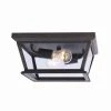 Coupon 😀 Patriot Lighting® Holliday Oil-Rubbed Bronze 2-Light Outdoor Flush Mount Ceiling Light 🧨 1 Coupon 😀 Patriot Lighting® Holliday Oil-Rubbed Bronze 2-Light Outdoor Flush Mount Ceiling Light 🧨 -Patriot Light Store 3561127 P