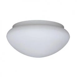 Brand new 🎁 Patriot Lighting® Etched White Replacement Glass ❤️