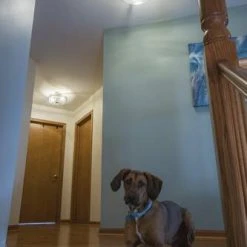 Buy 💯 Patriot Lighting® Addison Satin Nickel Semi-Flush Mount Ceiling Light 👏 -Patriot Light Store C0170 L7