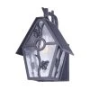 Promo 🎉 Patriot Lighting® Birdhouse Black Outdoor Wall Light 👏