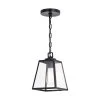 New 😀 Patriot Lighting® Grant Black 1 Light Mini Pendant 🔥 -Patriot Light Store P0346