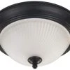 Coupon 🎁 Patriot Lighting® Replacement Glass Shade For Frosted Glass Flush Mount 🎁 1 Coupon 🎁 Patriot Lighting® Replacement Glass Shade For Frosted Glass Flush Mount 🎁 -Patriot Light Store RGLIFM211B