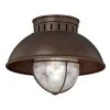 Coupon ❤️ Patriot Lighting® Harwich Burnished Bronze Outdoor Flush Mount Light ⌛ -Patriot Light Store T0143