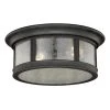 Coupon 🥰 Patriot Lighting® Hanover Brushed Iron 2-Light Outdoor Flush Mount Light ✨ -Patriot Light Store T0155