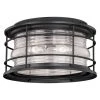 Budget ⌛ Patriot Lighting® Hyannis Textured Black 2-Light Outdoor Flush Mount Light 🥰 -Patriot Light Store T0167