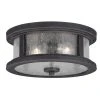 Brand new ⭐ Patriot Lighting® Cumberland Rust Iron 2-Light Outdoor Flush Mount Light 👏 1 Brand new ⭐ Patriot Lighting® Cumberland Rust Iron 2-Light Outdoor Flush Mount Light 👏 -Patriot Light Store T0290