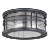 Brand new 💯 Patriot Lighting® Wrightwood Vintage Black 2-Light Outdoor Flush Mount Light ⌛ -Patriot Light Store T0361