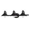 Coupon ✔️ Patriot Lighting® Akron Oil Rubbed Bronze 3 Light Vanity Light ⌛ 1 Coupon ✔️ Patriot Lighting® Akron Oil Rubbed Bronze 3 Light Vanity Light ⌛ -Patriot Light Store W0285
