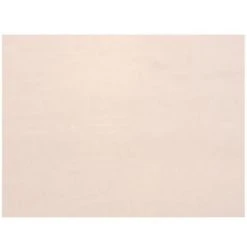 Brand new 🎁 Patriot Lighting® White Panel Replacement Glass ⌛