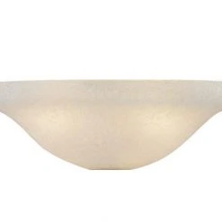 Best reviews of 😀 Patriot Lighting® Frost Seeded Bowl Replacement Glass ✔️