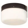 Outlet 😀 Patriot Lighting® Drum Bronze 2-Light Flush Mount Ceiling Light 🥰 1 Outlet 😀 Patriot Lighting® Drum Bronze 2-Light Flush Mount Ceiling Light 🥰 -Patriot Light Store vx cc1490bz