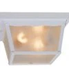 Promo 🛒 Patriot Lighting® McCormick White 2-Light Flush Mount Outdoor Ceiling Light 👍 2 Promo 🛒 Patriot Lighting® McCormick White 2-Light Flush Mount Outdoor Ceiling Light 👍 -Patriot Light Store vx oc1012w